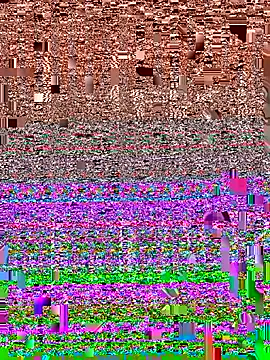 1apolo1 在線直播表演