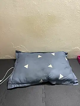 -Suka-a Pertunjukan Webcam