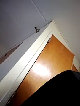 Aria423 Show in webcam