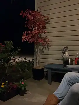 Countrypnp13 – Kamerová šou