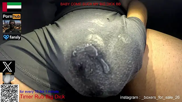 bfs26のウェブカメラショー