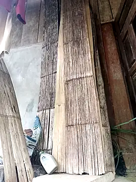 Susuu5790 Chat XXX live