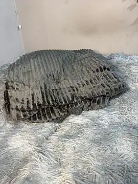 Chocklet_Bunny élő XXX-chatje