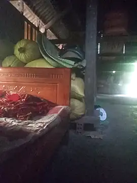 anhphi01 在線直播表演