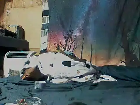 SillyRabbitz 在線直播表演