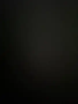 عرض كام BatchedTracer