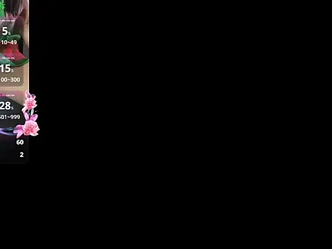 Pertunjukan Kamera Web 25CM_mistress