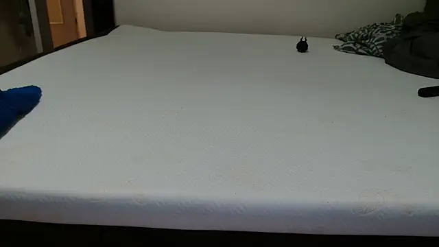 Pertunjukan Kamera Web Milo9210