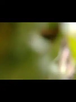 Biknight webkamerás műsora