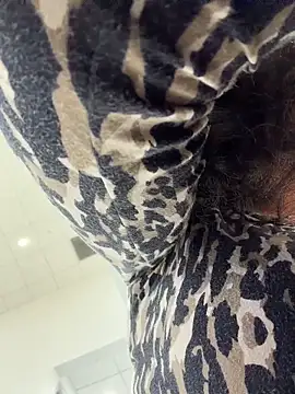 FerrariFrench's Webcam Show