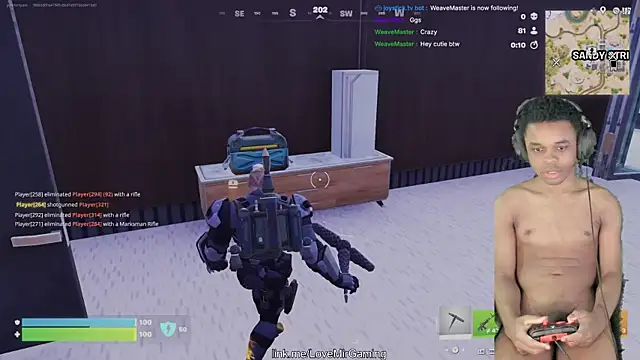 Show Webcam de lovemirgaming