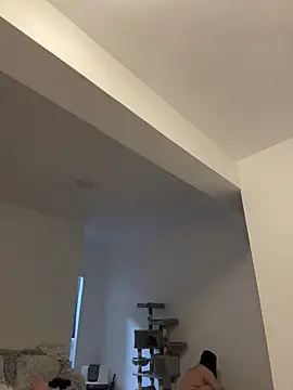 Andrestarr Chat XXX in diretta