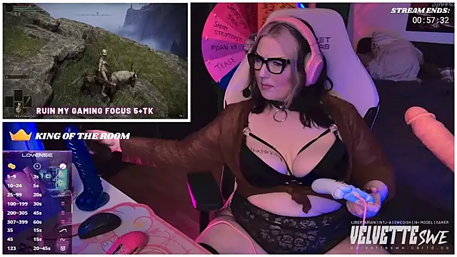 VelvetteSWEn Webbikameraesitys