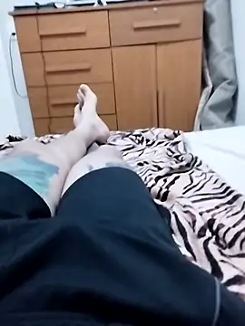 Show de webcam de tubarao19