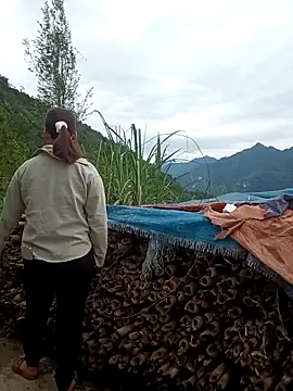 Lunababy3 在線直播表演