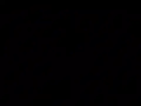 Nuttygmarley webkamerás műsora