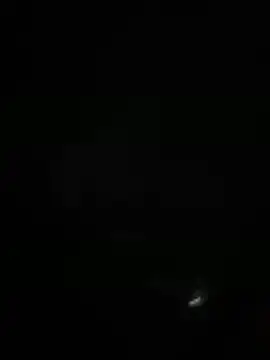 Pertunjukan Kamera Web BunnyYT