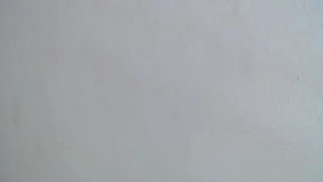 pinky_f00x Adlı Modelin Canlı XXX Sohbeti