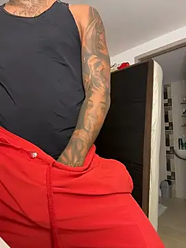 sendfer 网络视讯表演