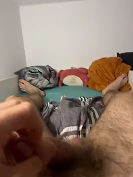 Вебкам-шоу immerhart711