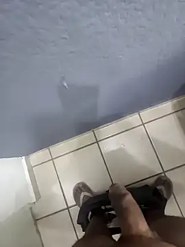 Leofj007のウェブカメラショー