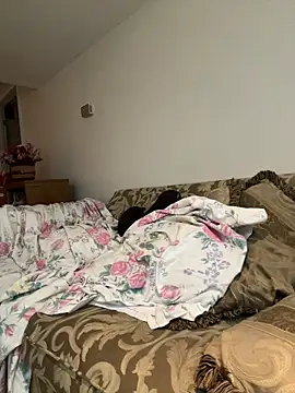 Pokazy przed kamerką – KOdaLion