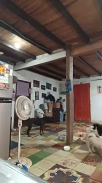 Show de ChanneldelaCroix na webcam