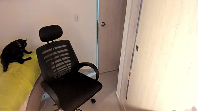 misstoya 라이브 XXX 채팅