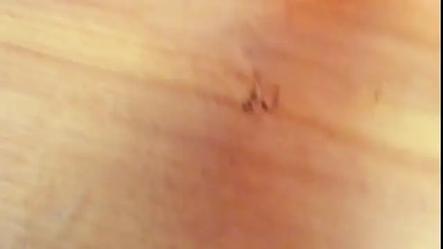 KimberlySaen 即時 XXX 聊天