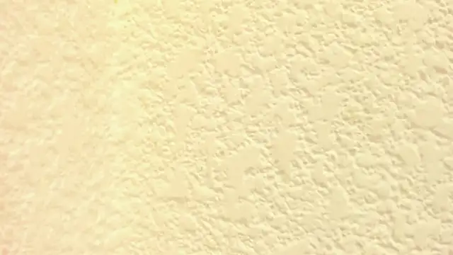 Axel_Evanss_'s Live XXX Chat