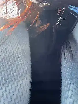 FionaMurr Pertunjukan Webcam