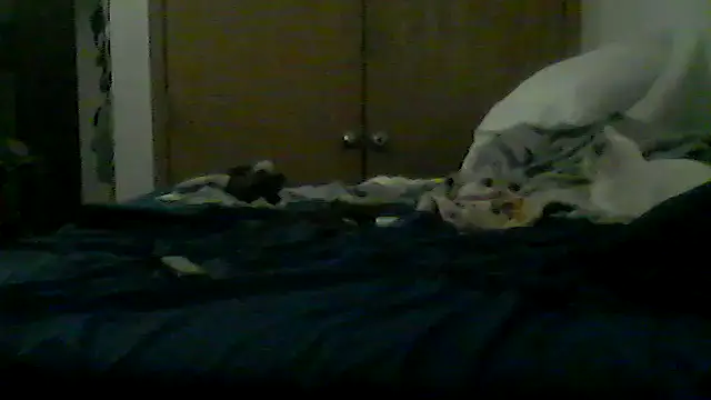 Show webcam de Silencio26