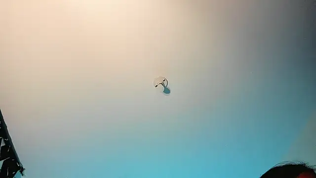 Chat XXX en directo de stanandrose_