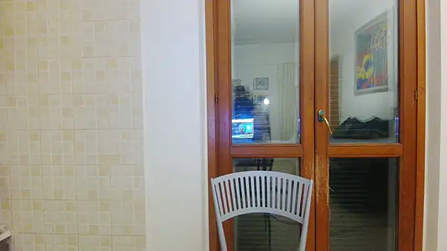 AMIRDIB2025 Show Webcam