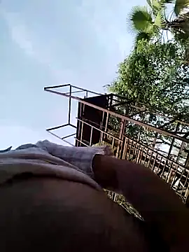 Pitercomのウェブカメラショー