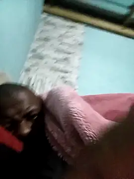 Show de webcam de DigCrok