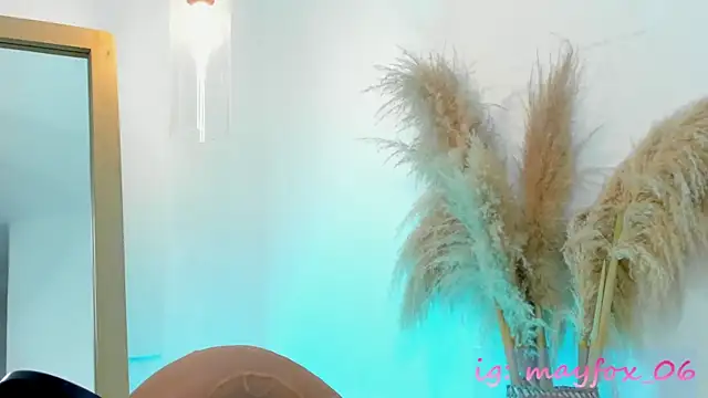 May_Fox_ – webcam-show