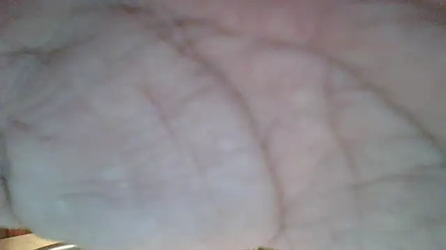 hotuncut1's Webcam Show