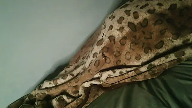 Horny208 在線直播表演