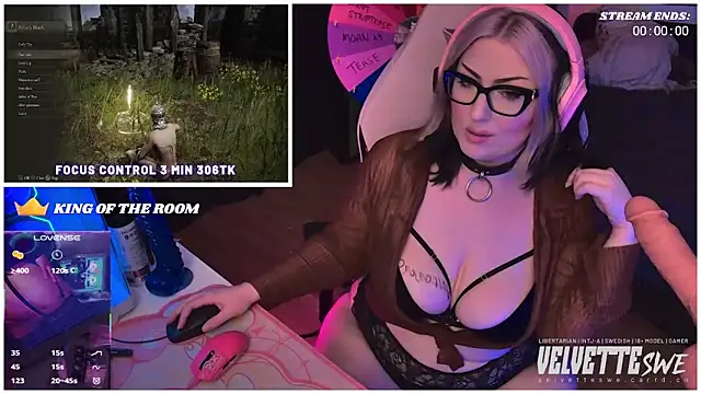 VelvetteSWE Webcam Show