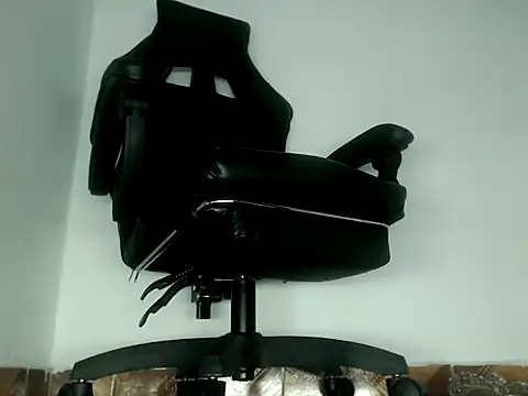 findomlatin 即時 XXX 聊天