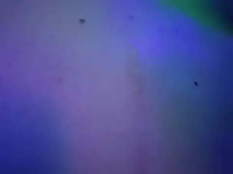 chronic_vibez 在線直播表演