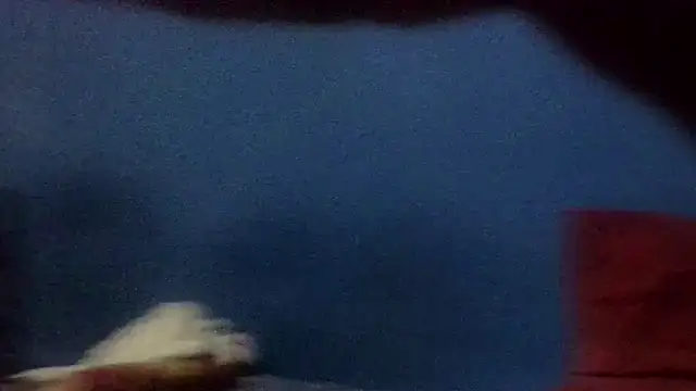 Sr_dickson Webcam show