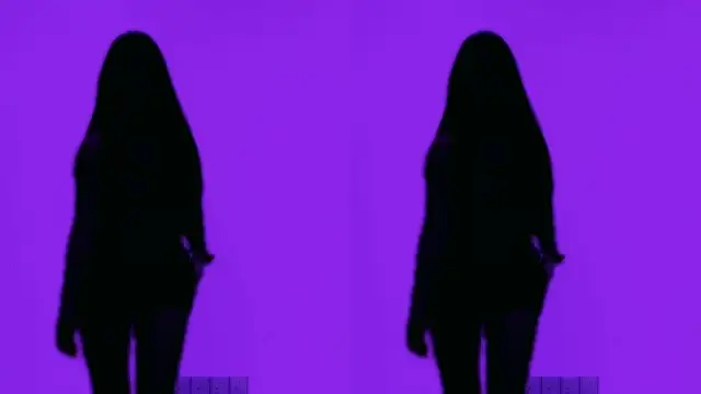 MS-888のウェブカメラショー