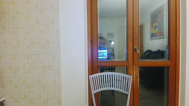 AMIRDIB2025のウェブカメラショー