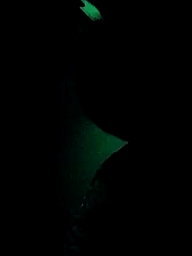 sarahkat86のウェブカメラショ ー