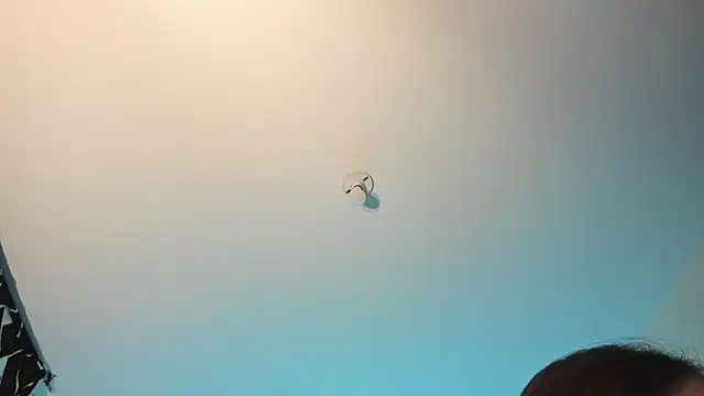 stanandrose_ 现场XXX聊天