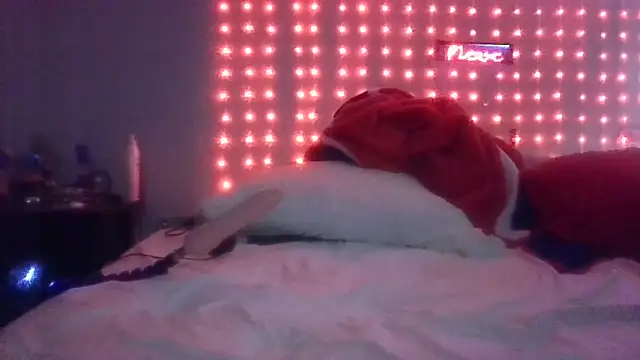 Show Webcam de deepinnnnn