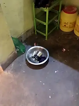 Lakhsmi's Webcam Show