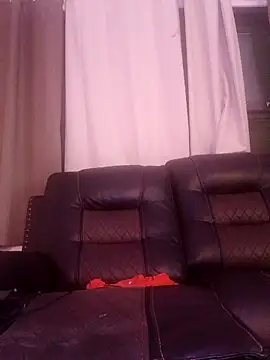 ReallyReallyReal Show Webcam